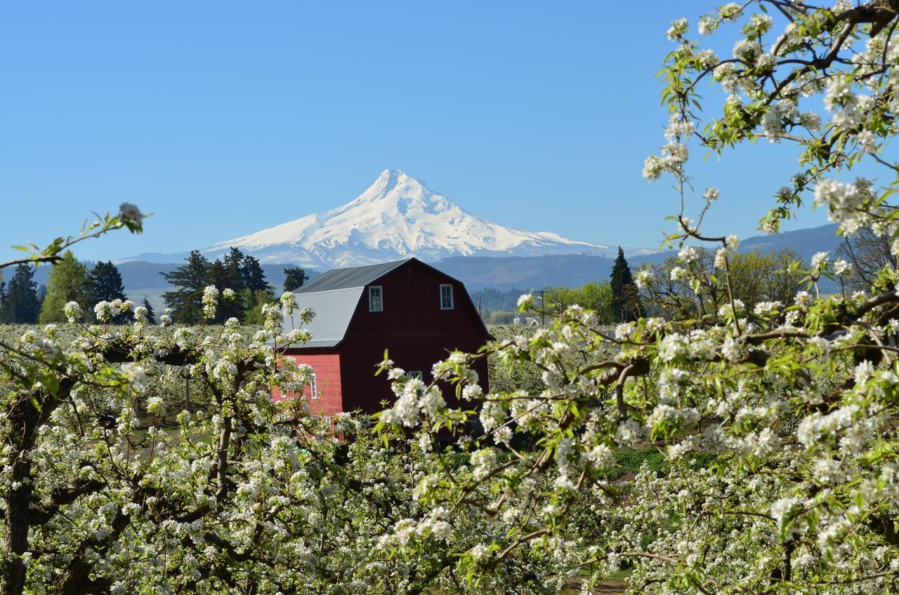 Old Parkdale Inn Bed And Breakfast Hood River Exteriér fotografie